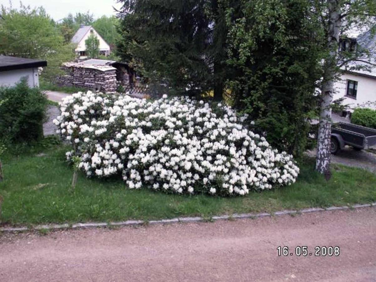 Ferienhaus Ferien Am Waldrand Altenberg Ngoại thất bức ảnh